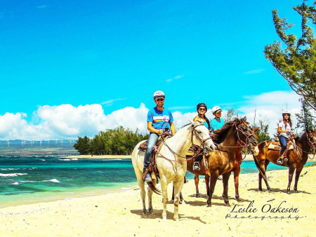 North Shore Sunshine Horseback Ride Oahu Horseback Rides Product