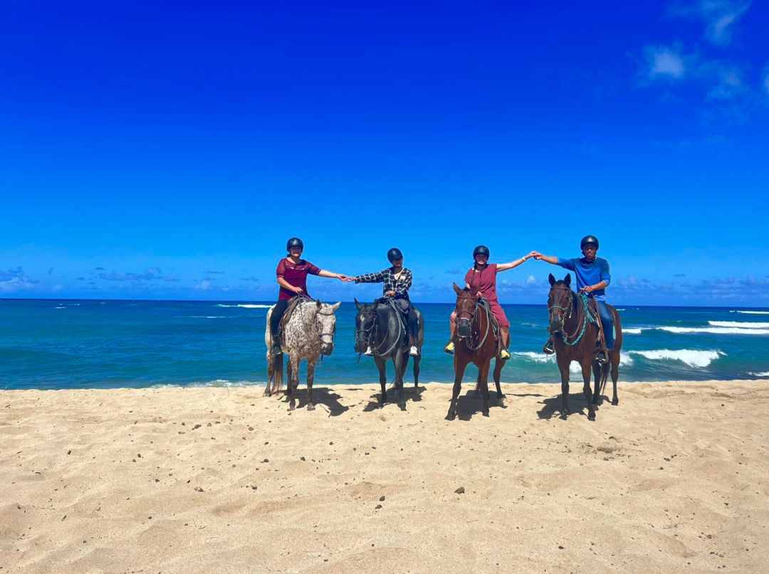 oahu horseback rides private ride explore oahus north shore