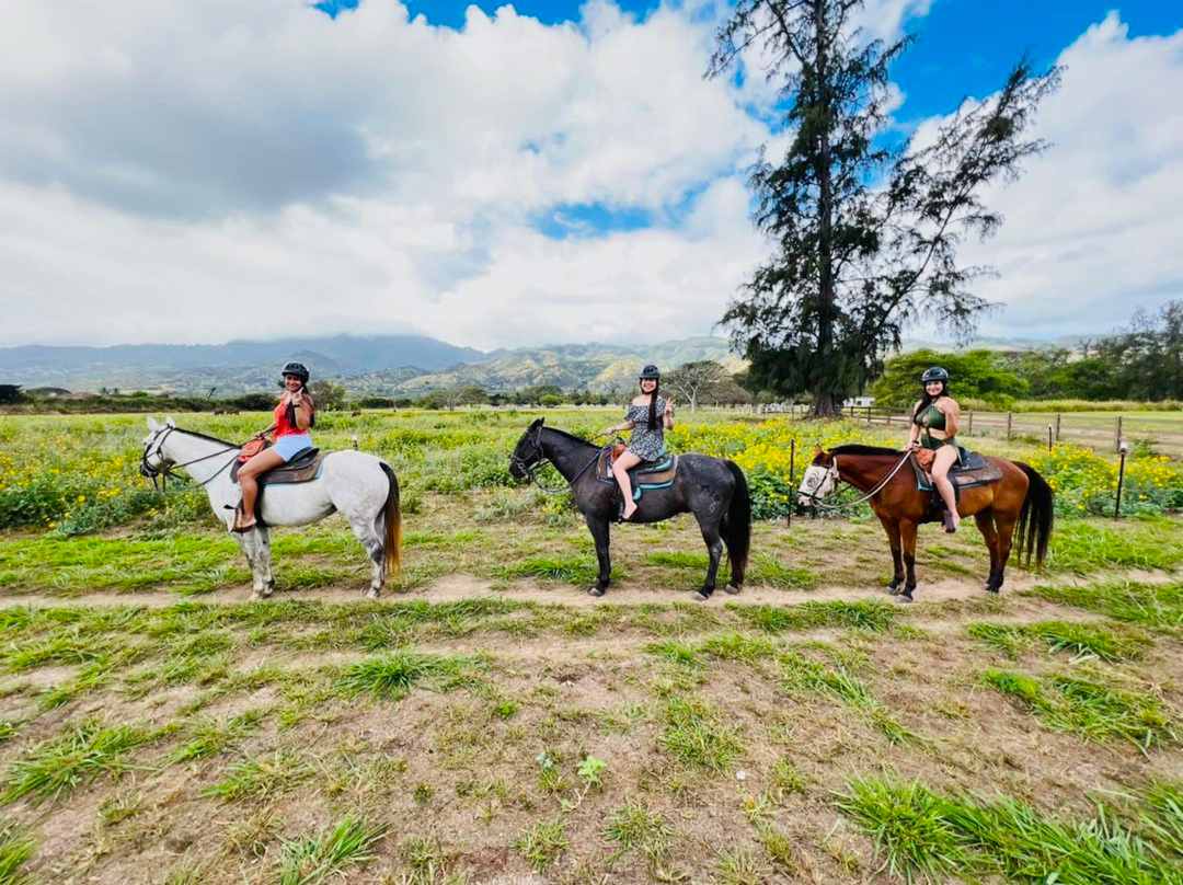 oahu horseback rides private ride riding horse with friend