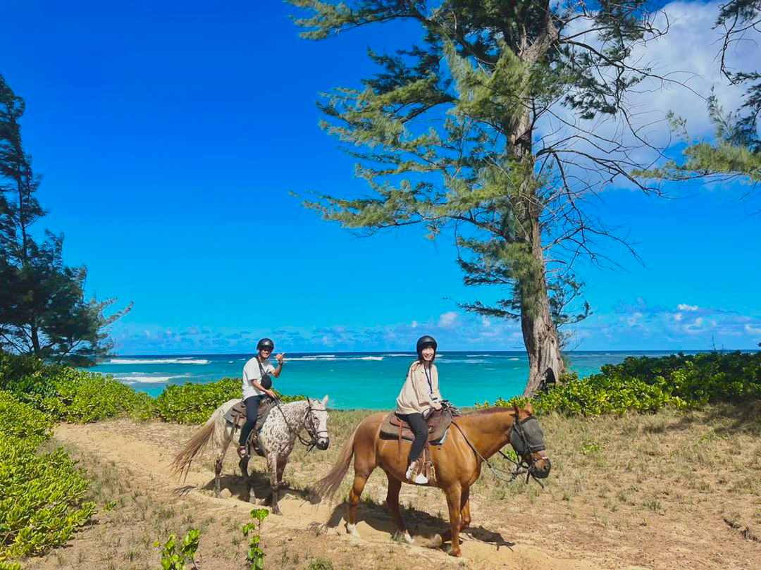 oahu horseback rides private ride scan the shoreline and reef for turtles