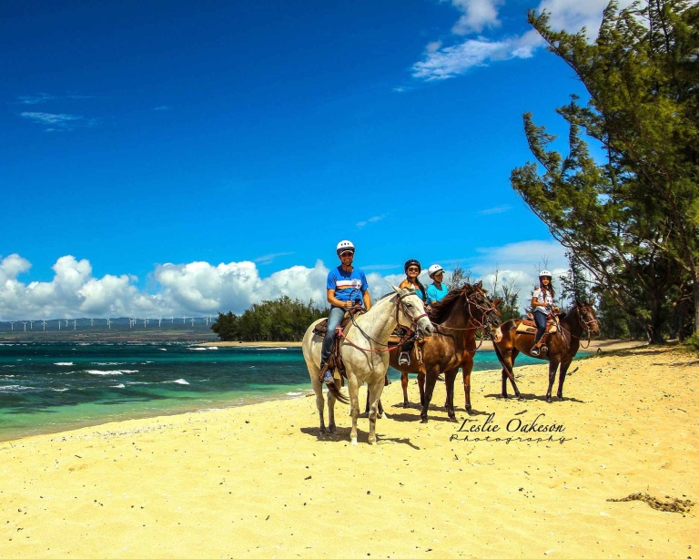 oahu horseback rides sunshine ride riding horse with friend