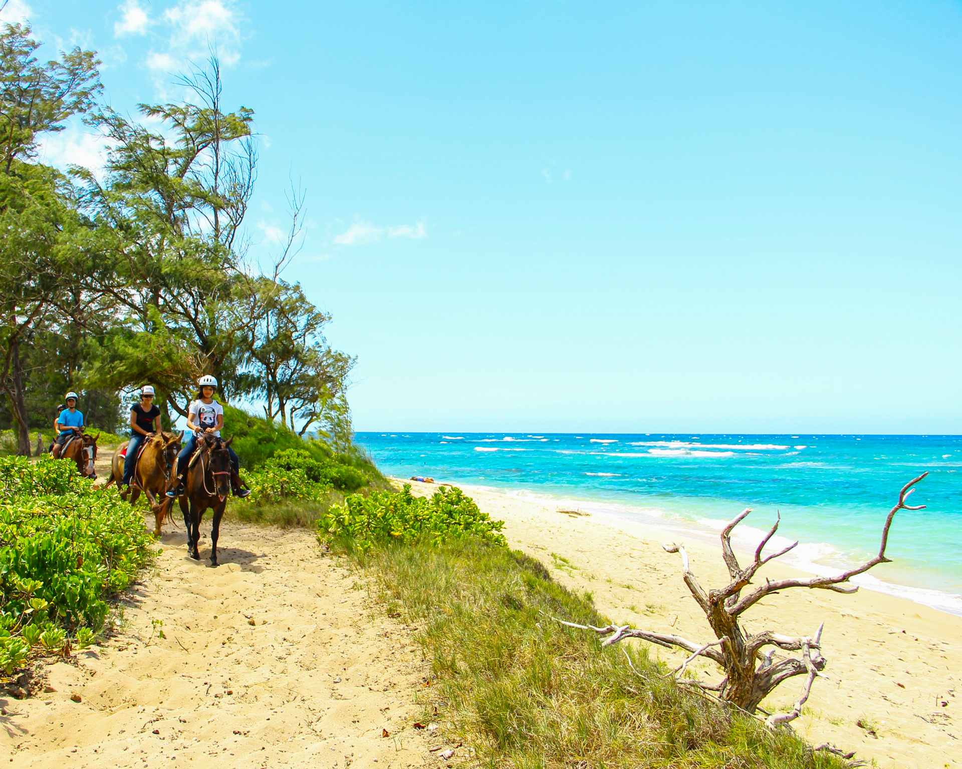oahu horseback rides sunshine ride traverse beachside trails