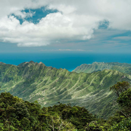 Oahu Island Photo Tour Waianae Range Mount Kaala Trail Oahu Hawaii Product