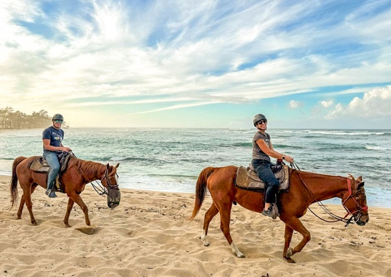 Oahuhorsebackride Private North Shore Horseback Ride Amazing Exprience