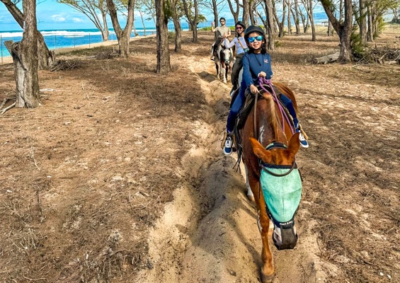 Oahuhorsebackride Private North Shore Horseback Ride Slider Family
