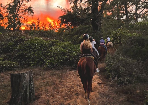 Oahuhorsebackride Private North Shore Horseback Ride Slider Sunshine