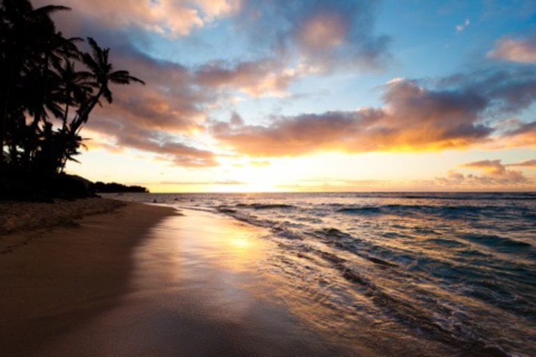 Oahuhorsebackrides North Shore Sunset Horseback Rides Feature North Shore