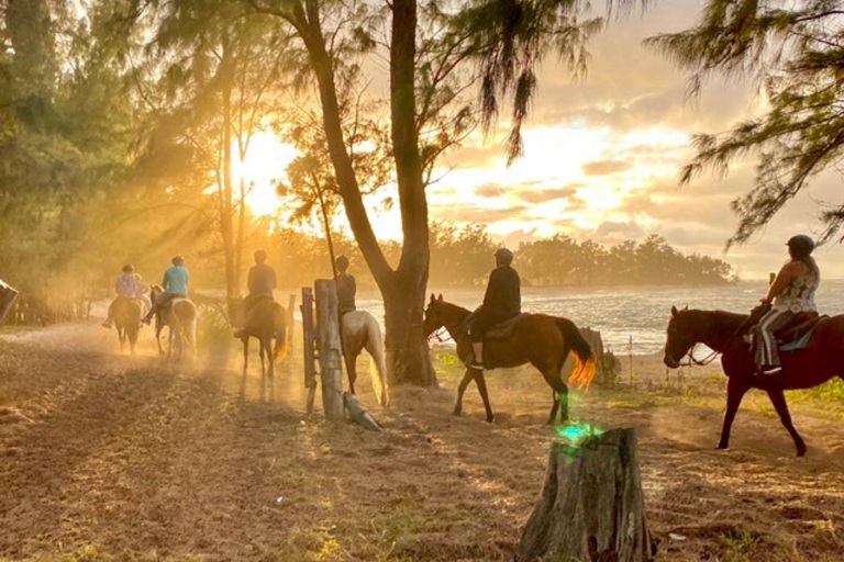 Oahuhorsebackrides North Shore Sunset Horseback Rides Feature The Golden Hour Group Sunset