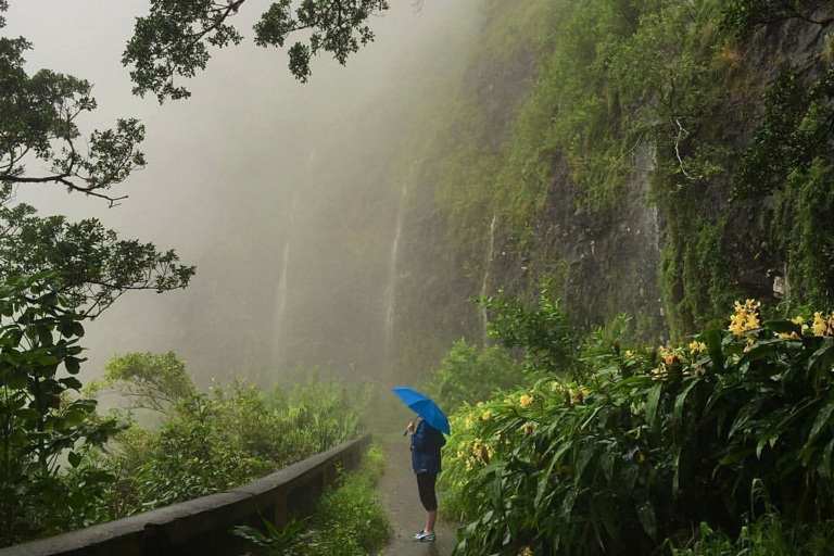 Oahuphotographytours Beautiful Colors Of Hawaii Photo Tour Nuuanu Pali Lookout Rain