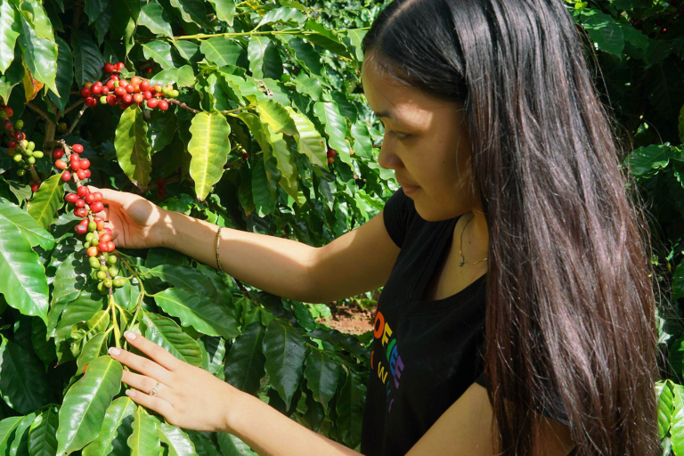 Oahuphotographytours Oahu North Shore Photo Experience Coffee Farm Visitor