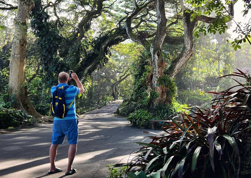 Oahuphotographytours Oahu North Shore Photo Experience Into Forest