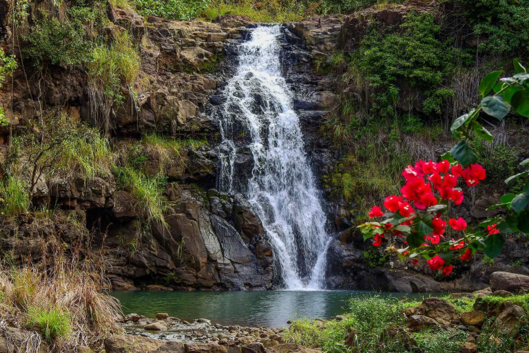 Oahuphotographytours Oahu North Shore Photo Experience Waimea Fall Overview