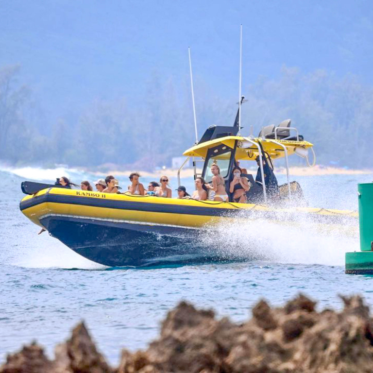 Oceanoutfittershawaii North Shore Marine Life Tour Boat Go Fast