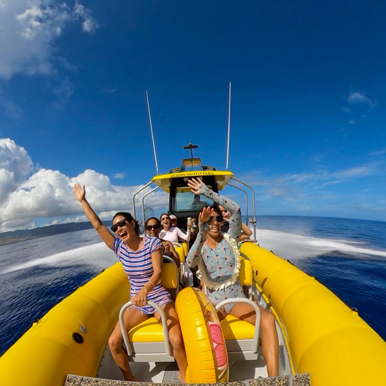 Oceanoutfittershawaii North Shore Marine Life Tour Family