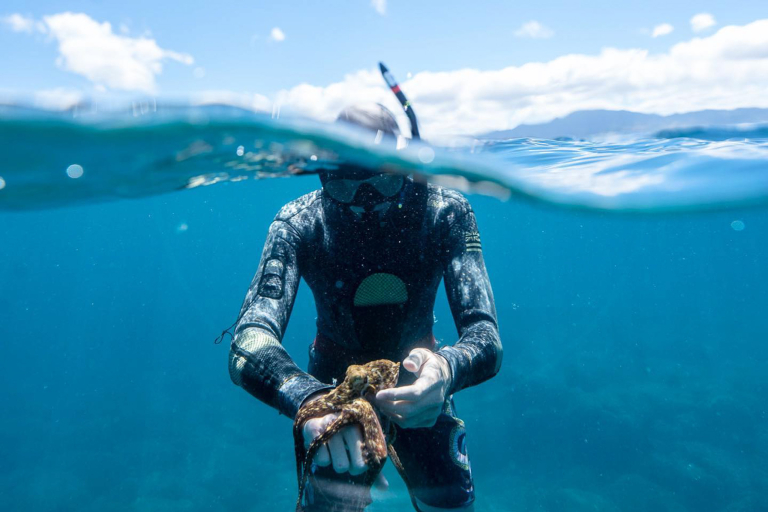 Oceanoutfittershawaii North Shore Marine Life Tour Guest Octopus