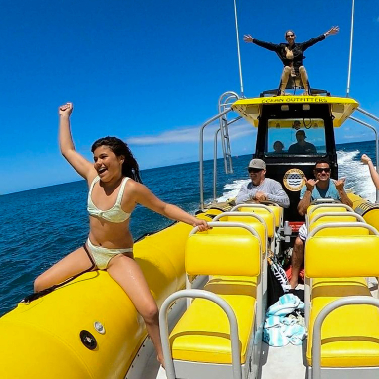 Oceanoutfittershawaii North Shore Marine Life Tour Guests