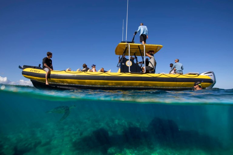 Oceanoutfittershawaii North Shore Marine Life Tour Private Boat