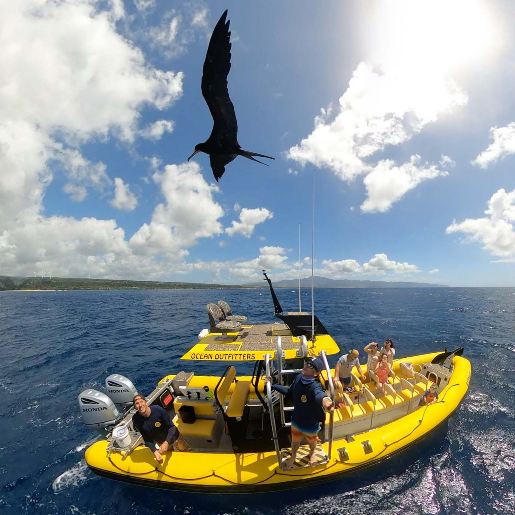 Oceanoutfittershawaii North Shore Private Raft Tour Guests On Boat