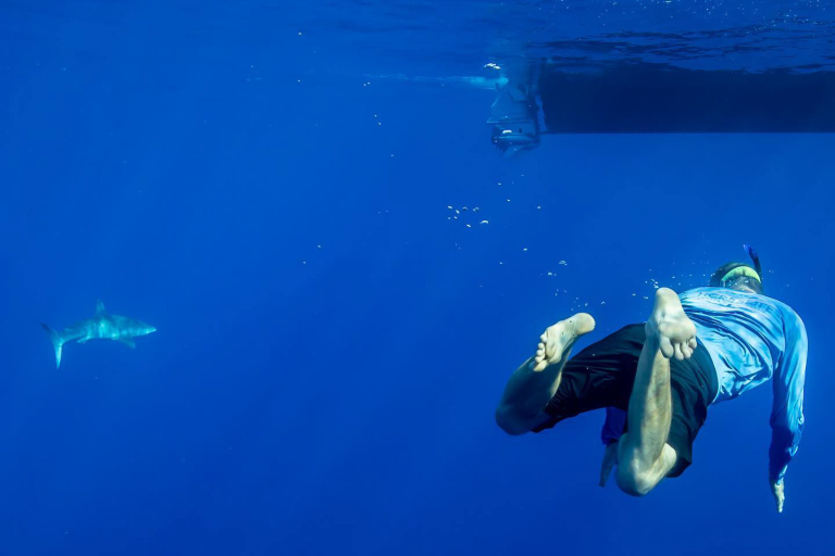 Oceanoutfittershawaii North Shore Private Raft Tour Swimming
