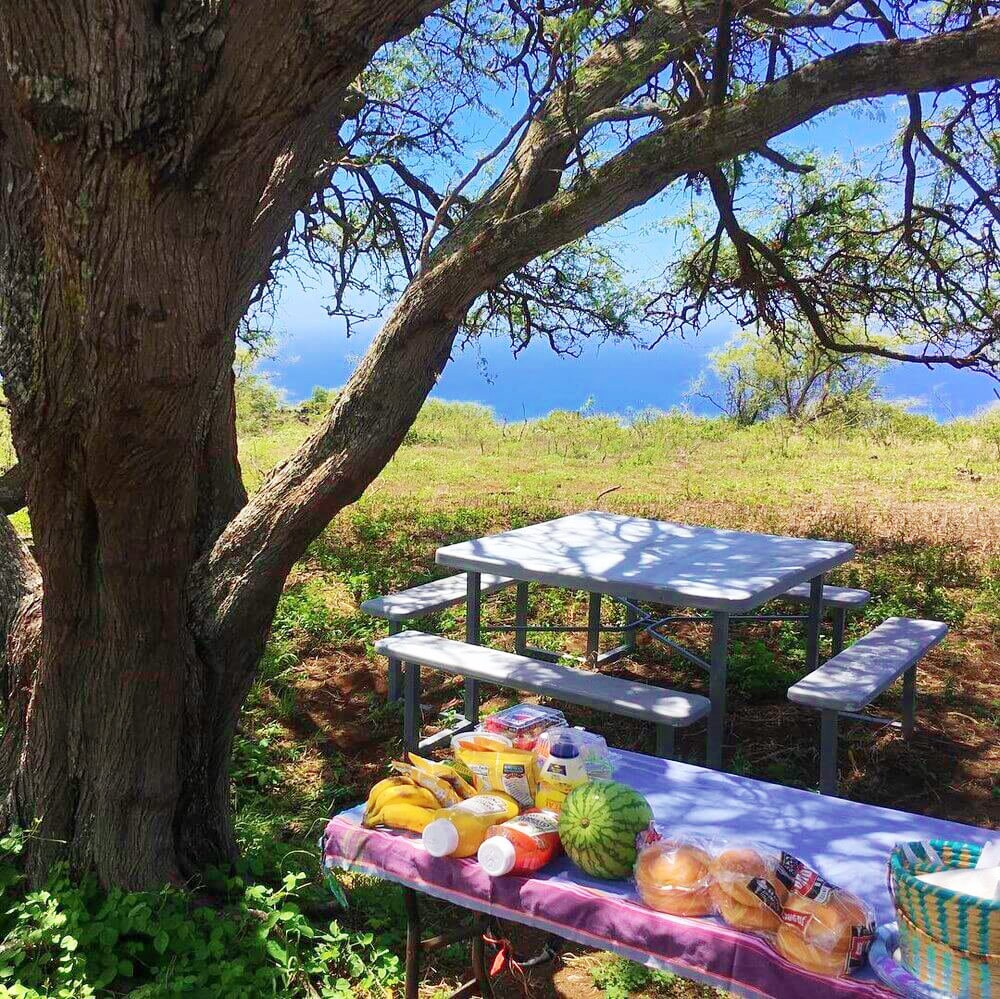 private all inclusive maui picnic ride maui island triple l ranch