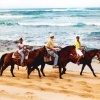 Private North Shore Horseback Ride
