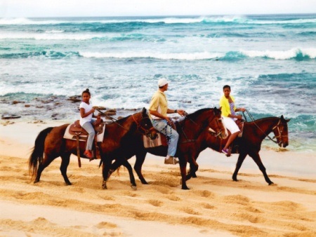 oahu horseback riding lessons