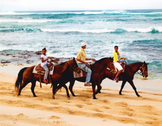 oahu horseback riding lessons