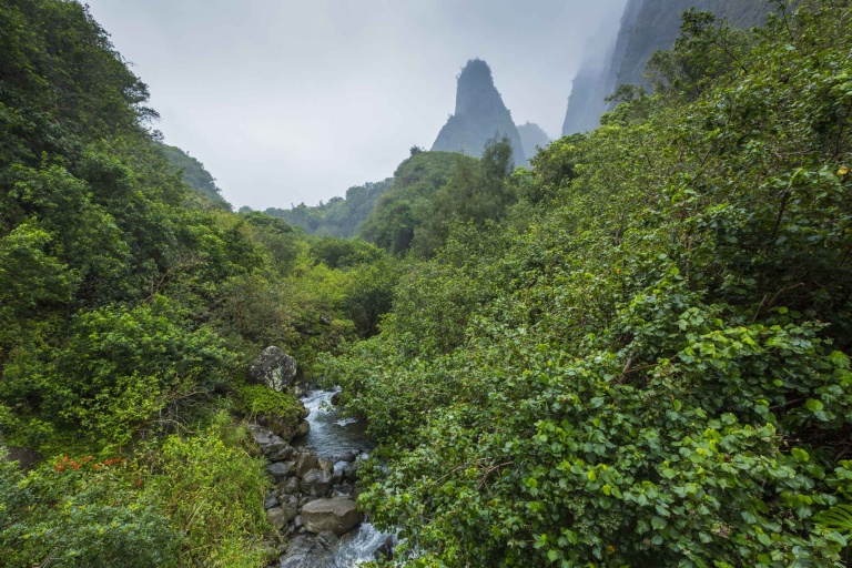  Private Excursion To Iao Valley Feature Beautiful Iao Valley State Park