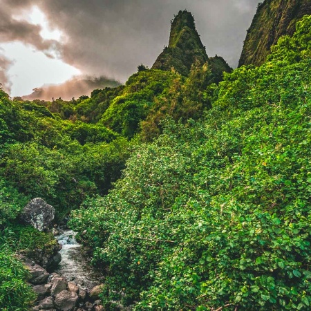 Private Excursion To Iao Valley Product Iao Valley State Park