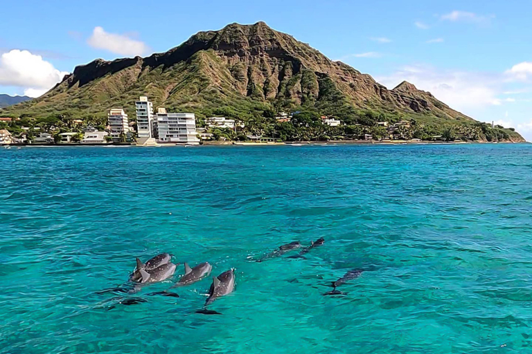 Theadventureboat Waikiki Private Small Boat Snorkel Fully Customizable Overview