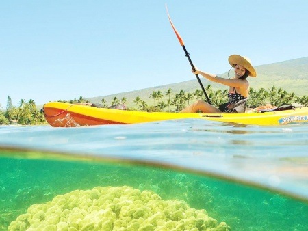 maui kayak tours