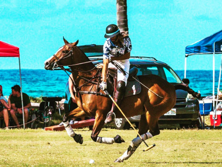 Hawaii Polo Riding Lesson Oahu Horseback Rides