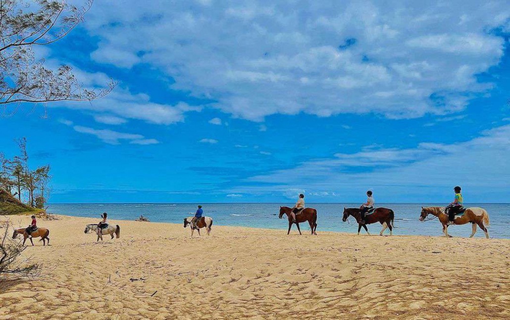 oahu horseback rides hawaii polo riding lesson riding horse on the beach