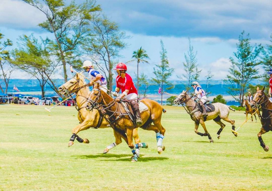 oahu horseback rides hawaii polo riding lesson with friend 