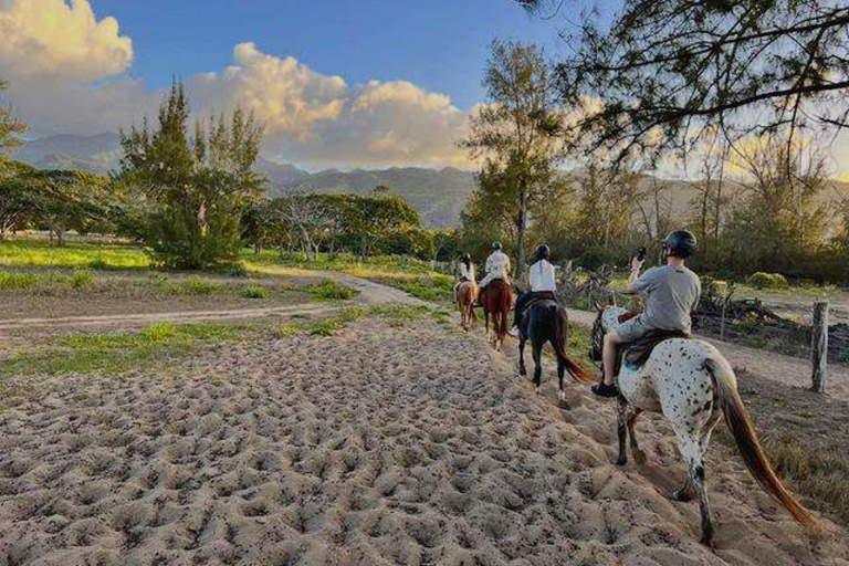 Oahuhorsebackrides Hawaii Polo Riding Lesson Feature Oahu North Shore Group