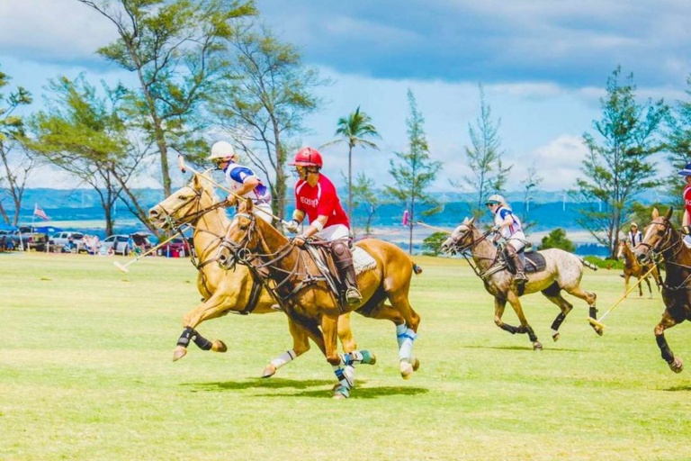Oahuhorsebackrides Hawaii Polo Riding Lesson Feature Polo In Hawaii Match