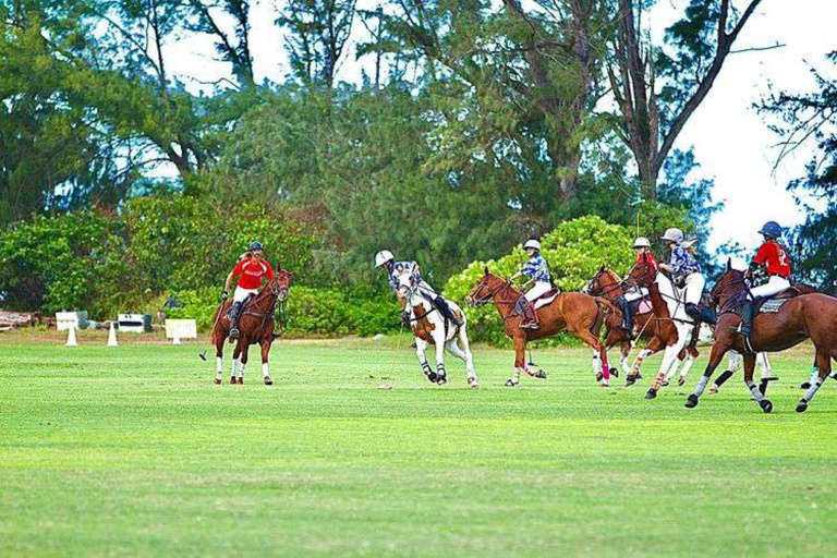 Oahuhorsebackrides Hawaii Polo Riding Lesson Feature The Game Of Polo Run Fast