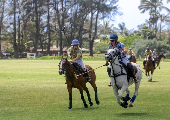 Oahuhorsebackrides Hawaii Polo Riding Lesson Slider Fight