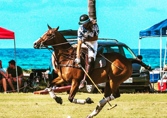 Oahuhorsebackrides Hawaii Polo Riding Lesson Slider Man And Horse