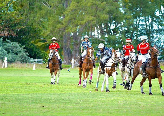 Oahuhorsebackrides Hawaii Polo Riding Lesson Slider Match