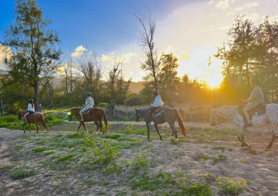 Oahuhorsebackrides Hawaii Polo Riding Lesson Slider Sunset