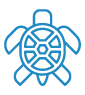 Turtle Snorkel Sail Blue Icon