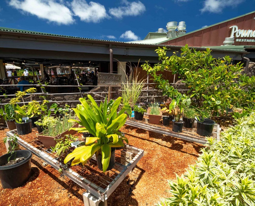 Polynesian Cultural Center Hukilau Marketplace Pounders Oahu