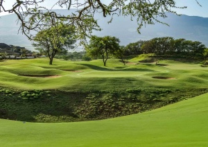 Dunes at Maui Lani Gulch and Green