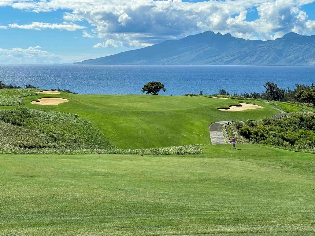 KapaluaPlantationCourseBackwomanvisitorandviewMauiGolf