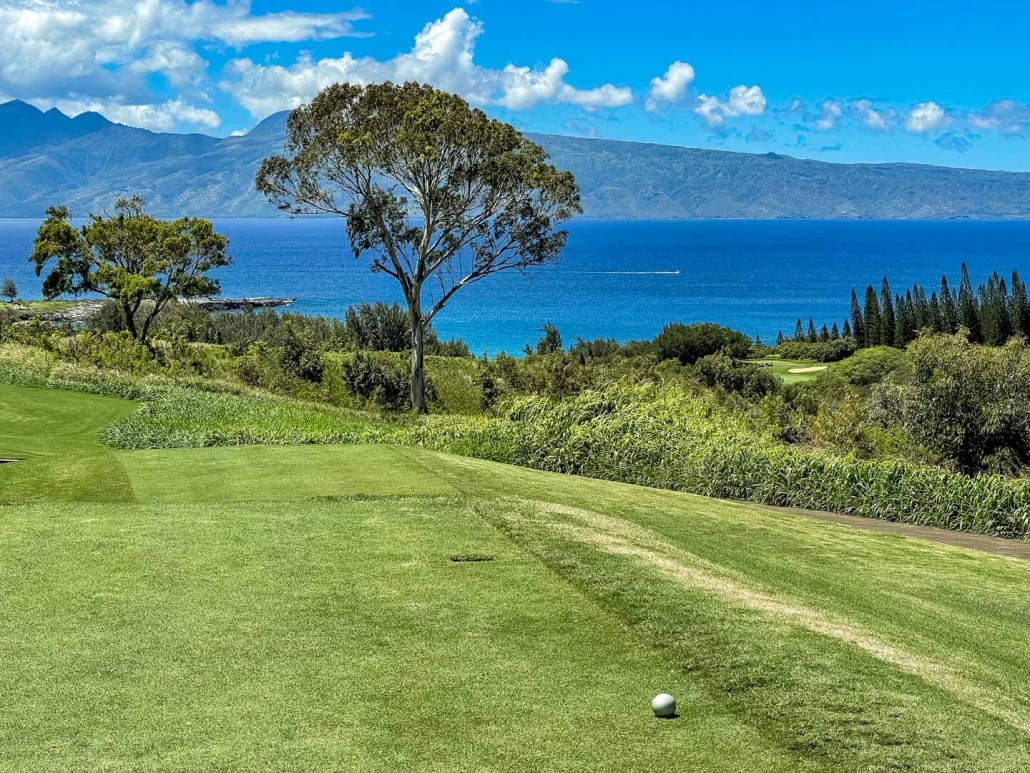 Kapalua Plantation Course Tee Box Elevation Maui Golf