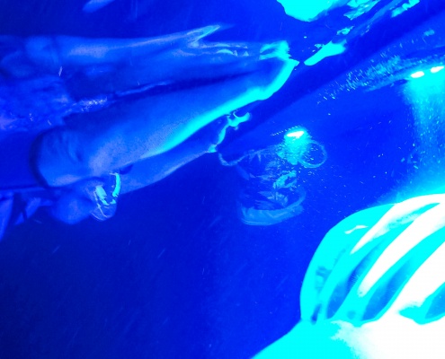 manta-ray-snorkel-night-visitors-and-manta-big-island