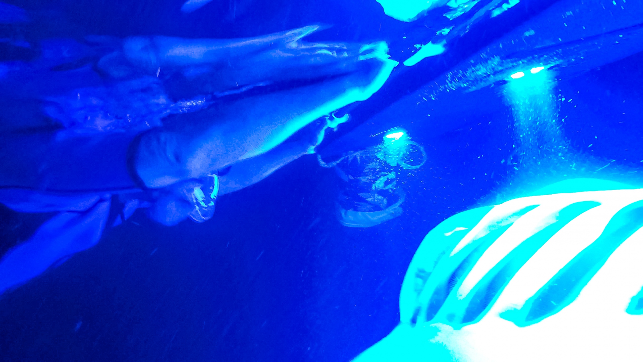 manta-ray-snorkel-night-visitors-and-manta-big-island