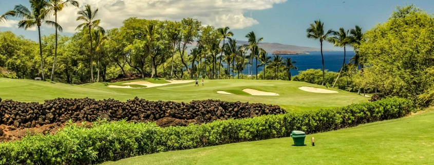 WaileaGoldCourseSignaturethHoleMaui