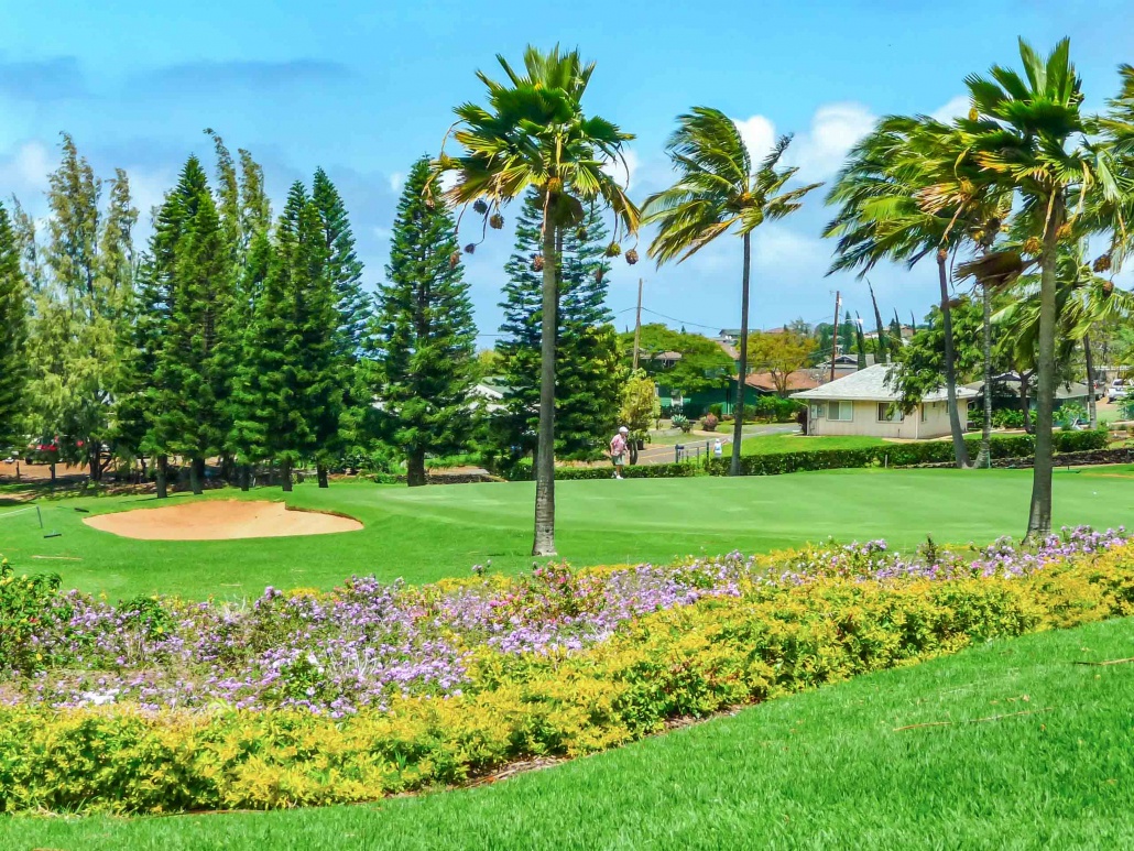 PukalaniCountryClubthGreenandFlowersUpcountryMaui